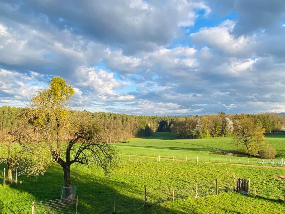 Kellerstoeckl Am Veganen Bio-Lebenshof "Varm - Die Vegane Farm" Sulb Exterior foto
