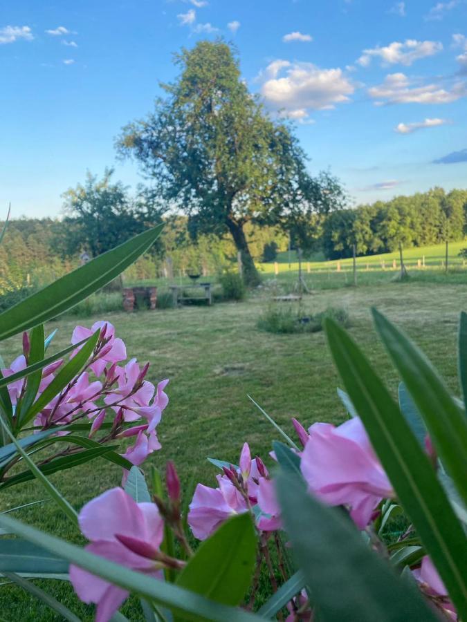 Kellerstoeckl Am Veganen Bio-Lebenshof "Varm - Die Vegane Farm" Sulb Exterior foto